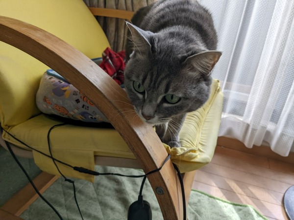 PXL_20221107_023020356