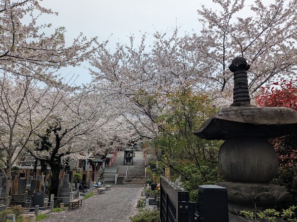 PXL_20260402_042251495