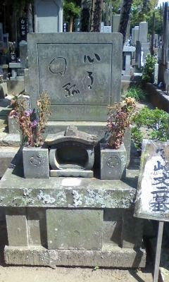 イメージ 6