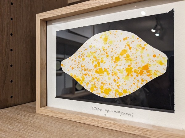 PXL_20240308_060110937