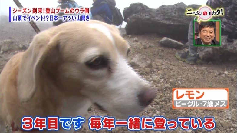 イメージ 6