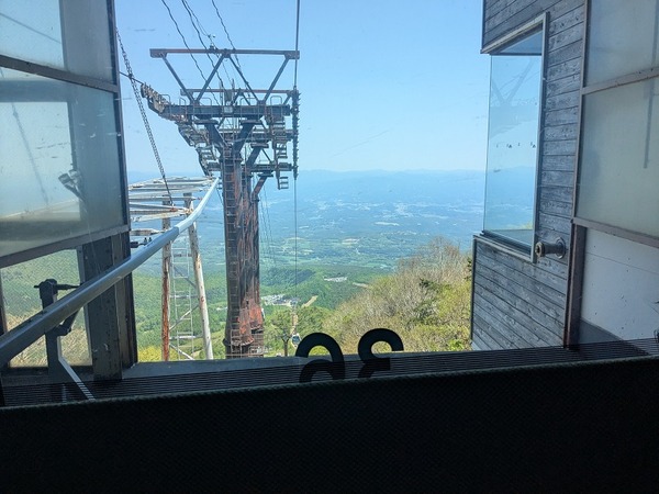PXL_20260517_024402243