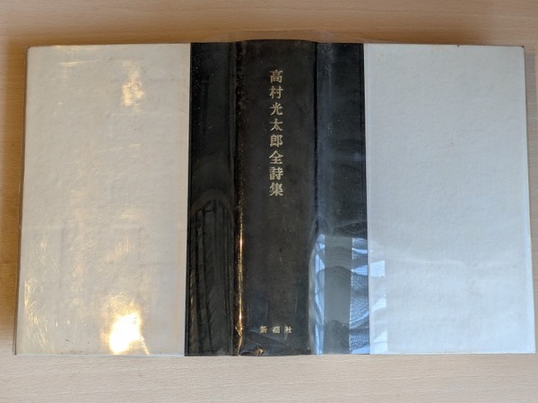 PXL_20260519_020850356