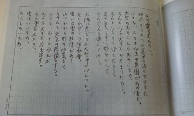 イメージ 5
