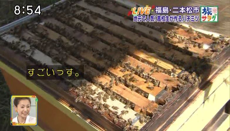 イメージ 5