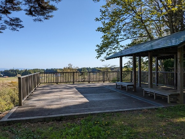 PXL_20230427_053909704