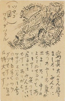 イメージ 7