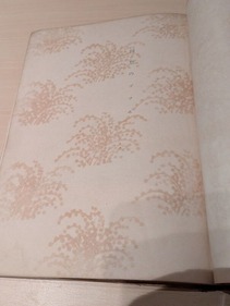 PXL_20260102_084313331.MP