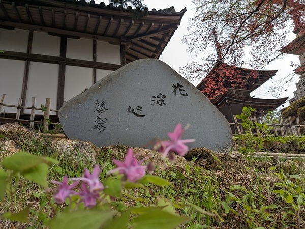 PXL_20240422_010703827.MP