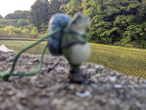 PXL_20250503_205616520