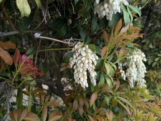PXL_20260422_062955405