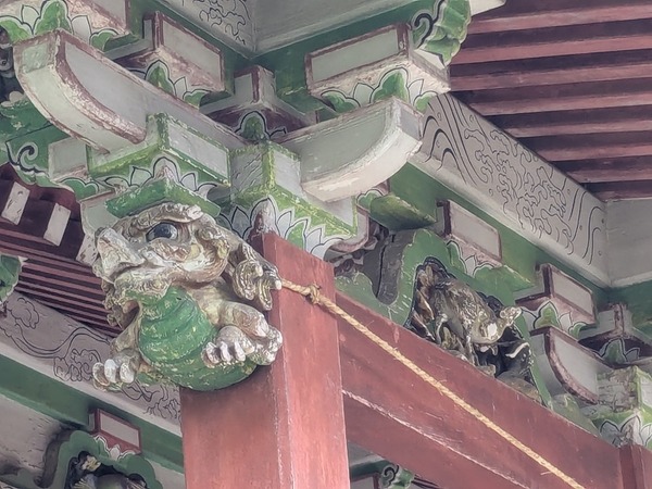 PXL_20250312_012846449