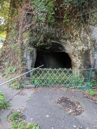 PXL_20221016_071701195