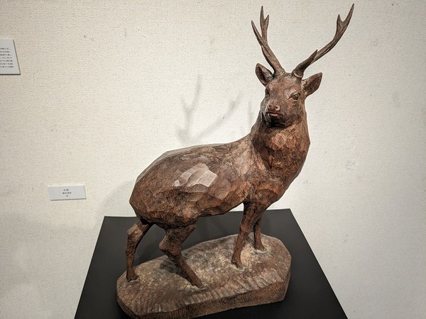 PXL_20240308_045650017