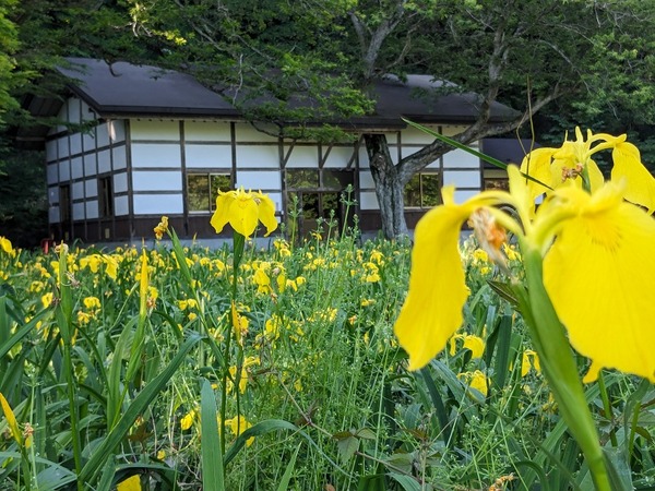 PXL_20240608_071350552