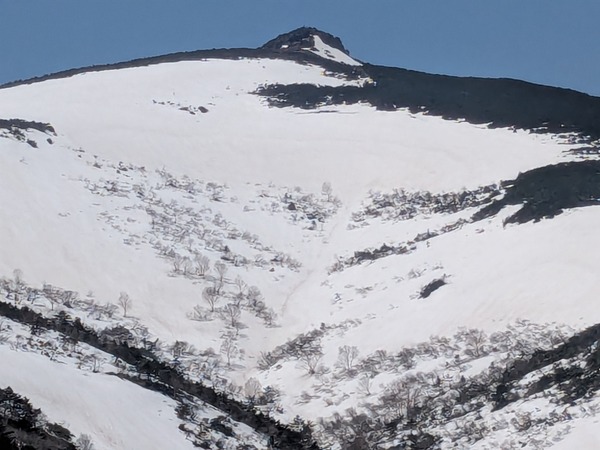 inbound6323271378628219443