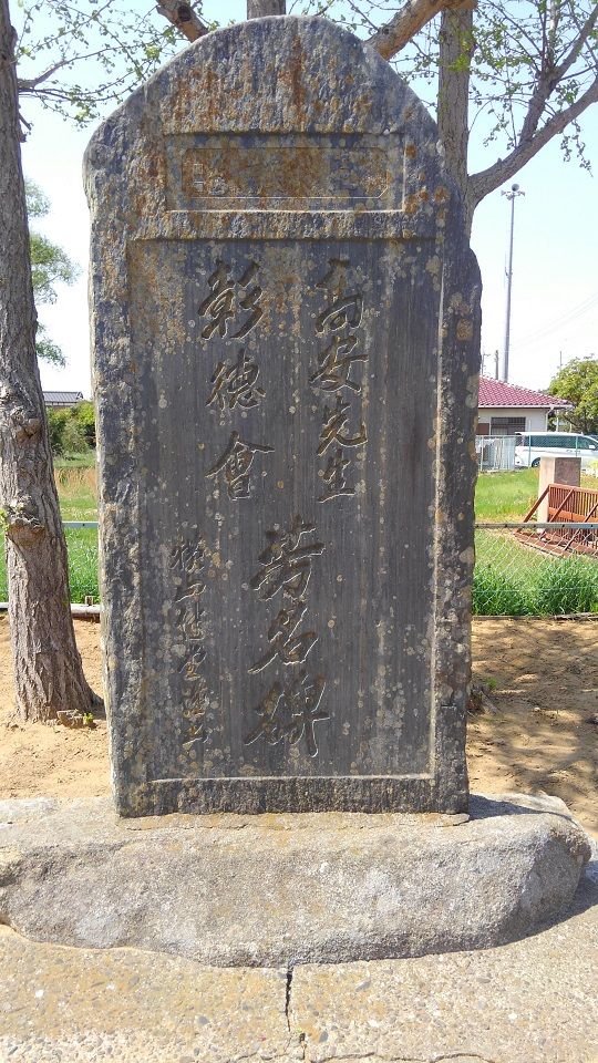 イメージ 6