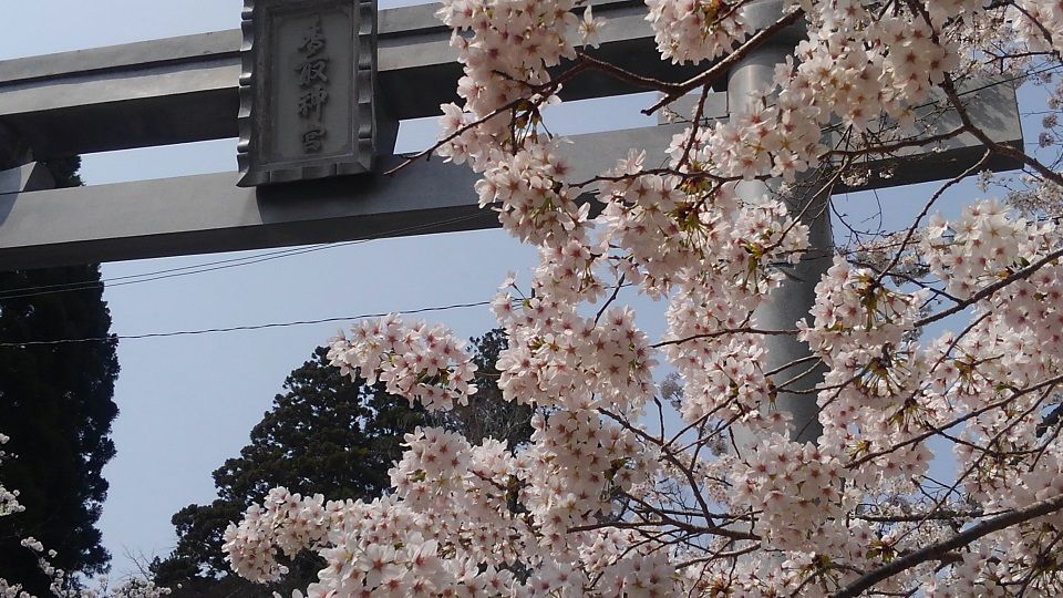 イメージ 16