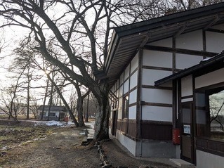 PXL_20251215_054547519