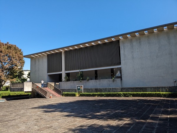 PXL_20231017_020551248