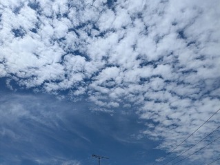 PXL_20240703_004439367