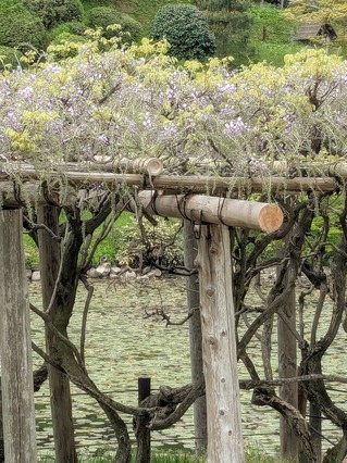 PXL_20250428_011327938