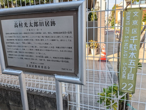 PXL_20221103_025728924