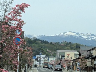 PXL_20250428_005520194