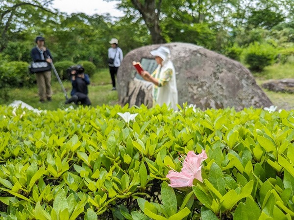 PXL_20240519_034334532