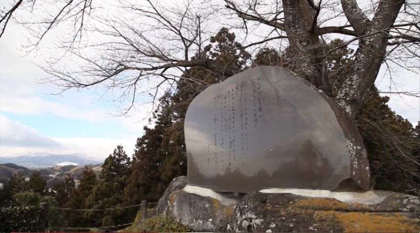 イメージ 7