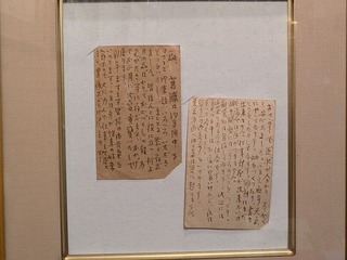 PXL_20251115_053530807