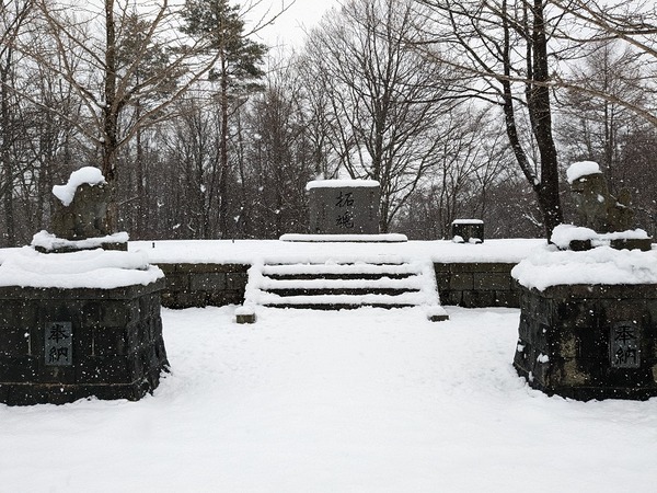 PXL_20221203_232535153