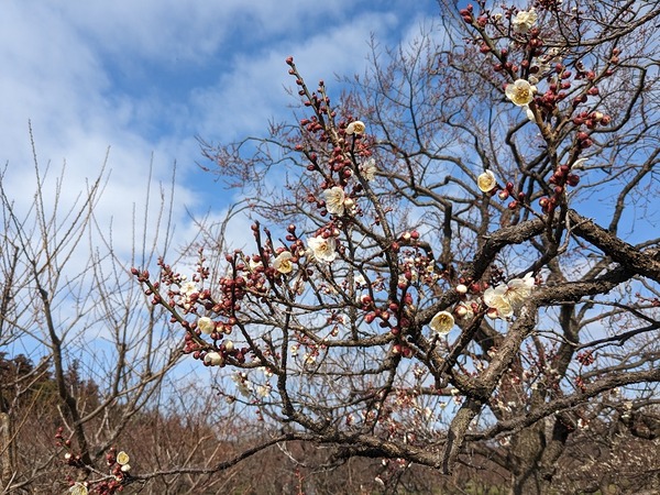 PXL_20230212_013405591