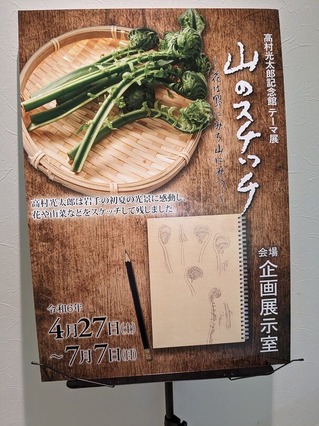 PXL_20240608_065154976.MP