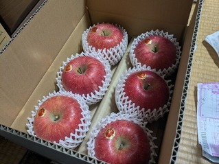 PXL_20251217_221959650