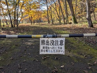 PXL_20251106_041856132