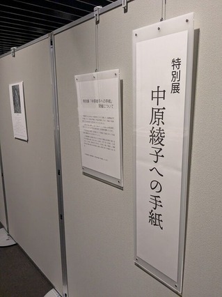 PXL_20250620_070013116