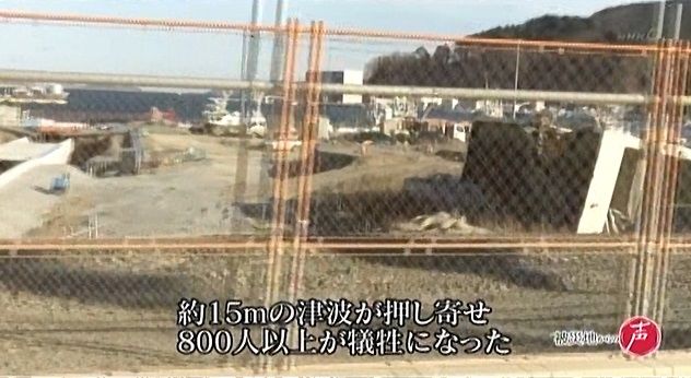 イメージ 7