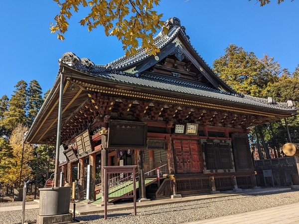 PXL_20231130_042620585