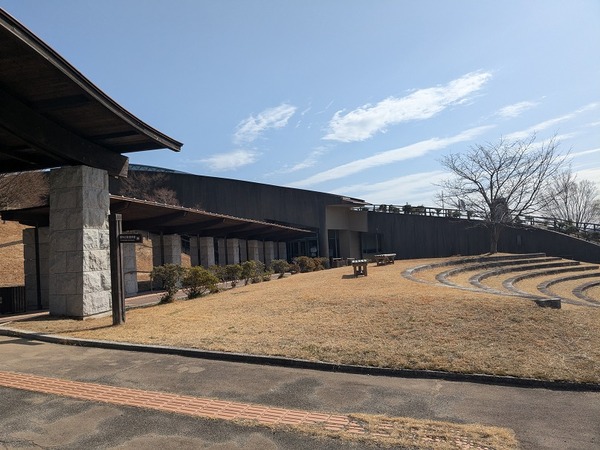 PXL_20260315_005720574