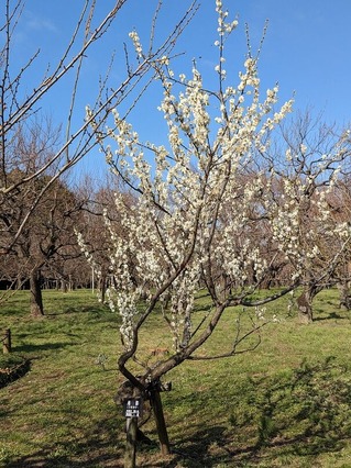 PXL_20230212_014106711