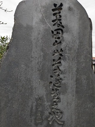 PXL_20240421_015145807