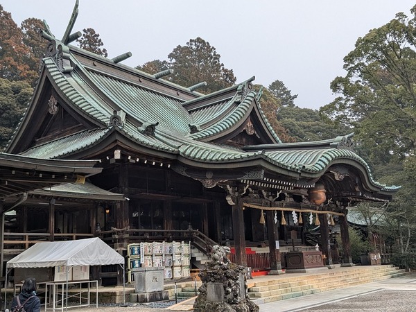 PXL_20250312_012021539