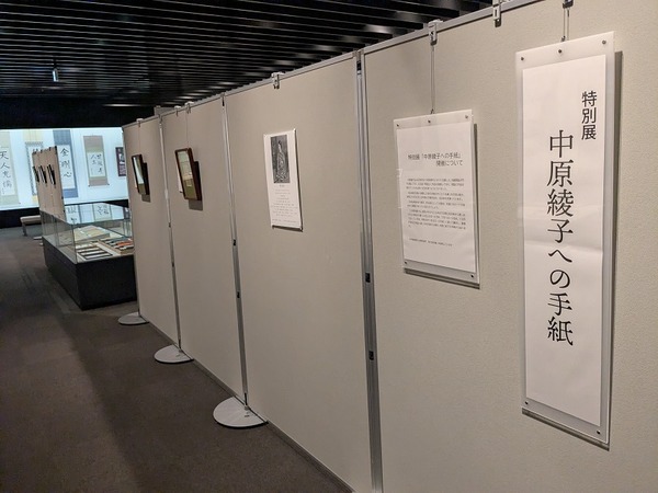 PXL_20260220_065856363