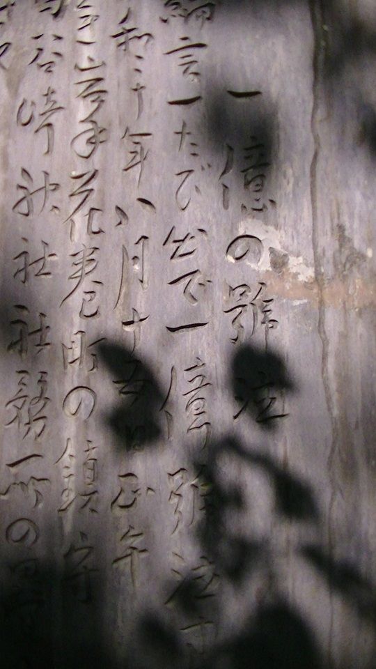 イメージ 14
