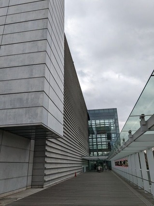 PXL_20230219_011928697