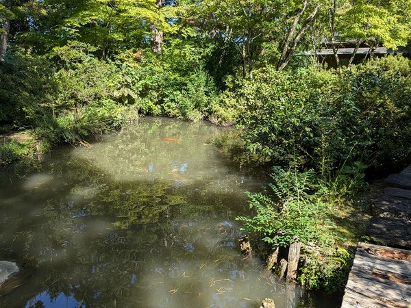 PXL_20240925_003338795[1]