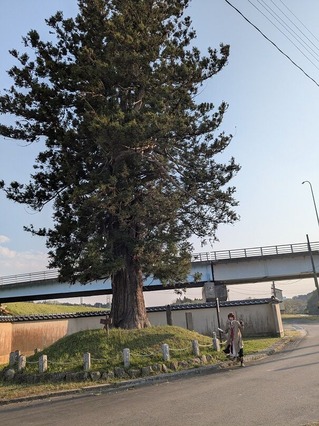 PXL_20250426_074312998