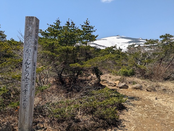 PXL_20250426_021557958