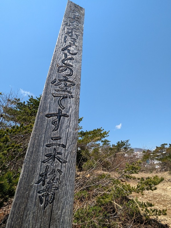 PXL_20250426_021612981